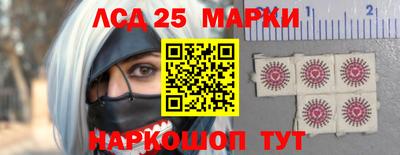 стаф Гай