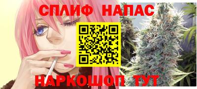 стаф Гай