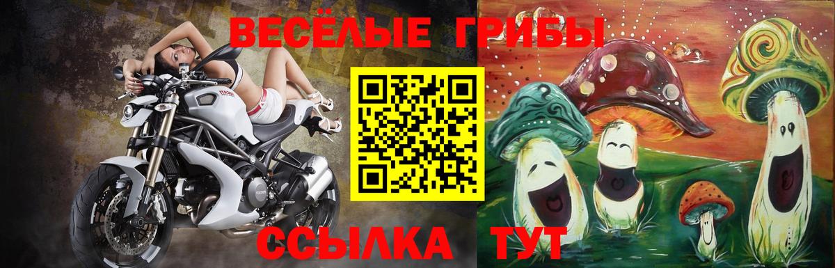 Назарово  Галлюциногенные грибы прущие грибы  Вход с VPN 
